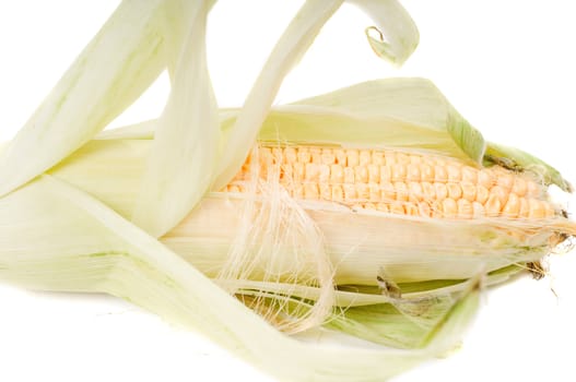 Cop of corn isolated on white, studio shot
