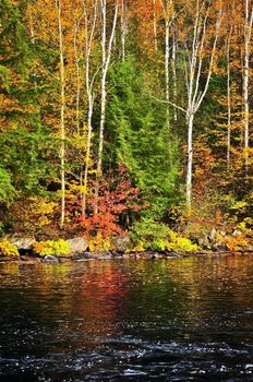 Lake shore of fall forest with colorful reflections