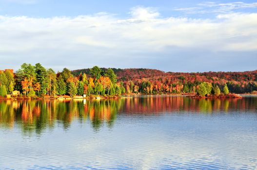 Forest of colorful autumn trees reflecting in calm lake