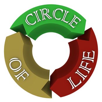 A circular pattern of three arrows each containing a word from the phrase Circle of Life representing the connections that all living things have with one another and the cyclical nature of biology and living on Earth