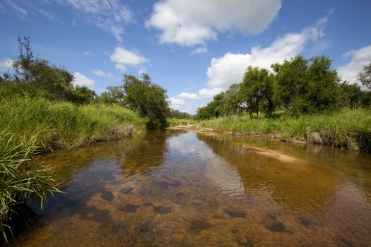 Tranquil, Scenic river in the african bush