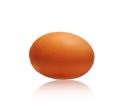 One egg on white background 