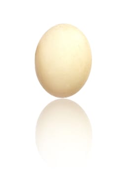 Egg of a duck 