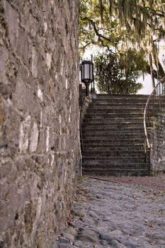 A worn, stone staircase leads to a path lined with oak trees.