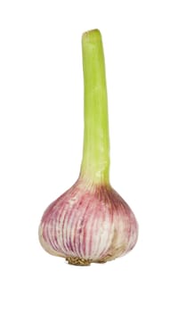 Garlic bulb isolated over white background