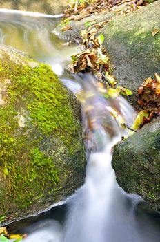 The beautiful stream in forest, autumn, long exposure
