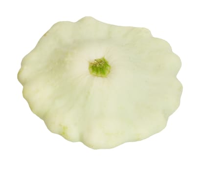 Scallop squash on white background 