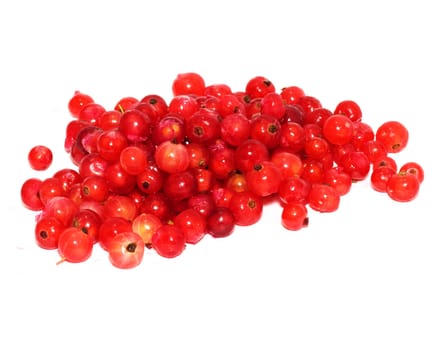 red currant on white background 