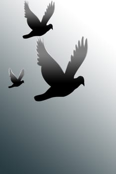 three doves