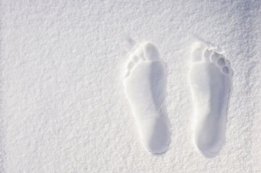 Footprints of the legs on the white sand