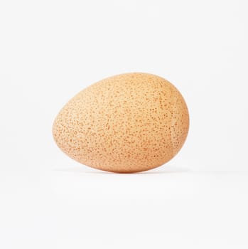 Egg of a guinea fowl