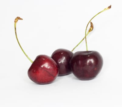 sweet cherry 