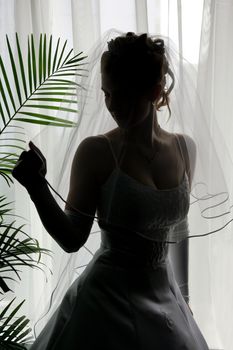 Half body portrait of young adult bride in veil silhouetted at window.