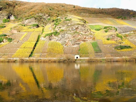 reflections in the river Moselle
