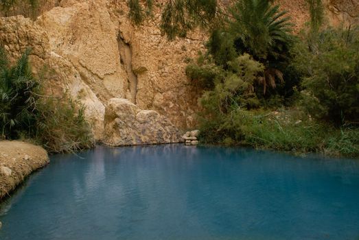 Oasis in Sahara, Africa, Tunisia