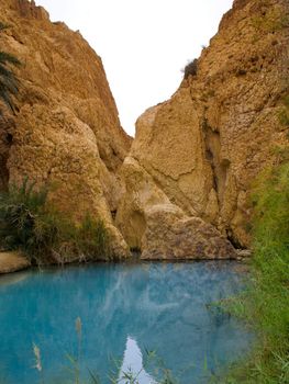 Oasis in Sahara, Africa, Tunisia