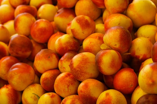 a pile of orange, and yellow nectarines at the farmers market, red