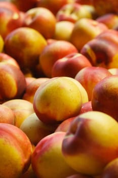 a pile of orange, and yellow nectarines at the farmers market, red
