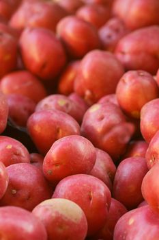 a pile of red potatoes at the farmers market