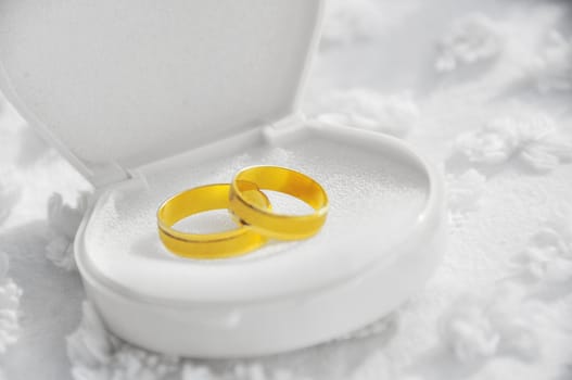 Gold wedding rings on white background