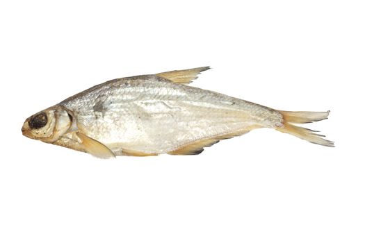 bream isolated on white background 