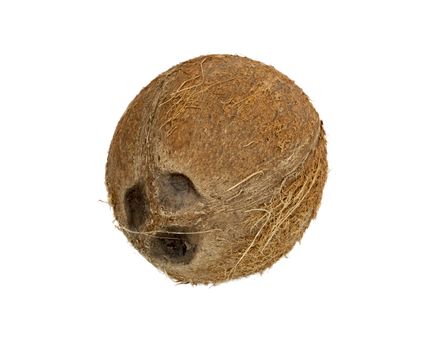 coconut isolated on white background 