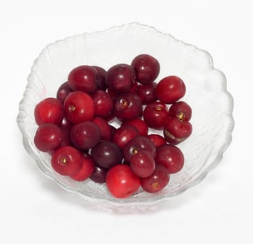 cherries on white background 