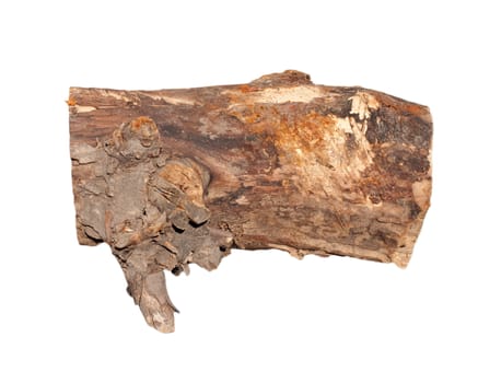 Birch logs isolated on the white background. 