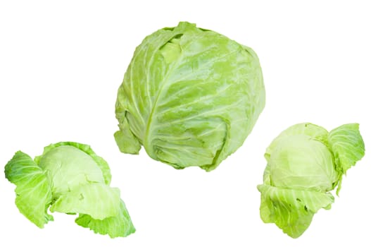 Cabbage isolated on a white background 