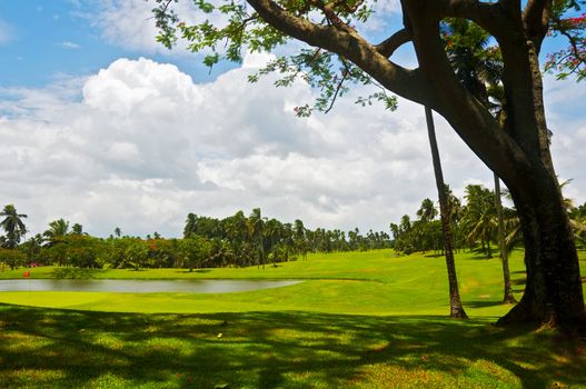 A beautiful golf course in the Philippines