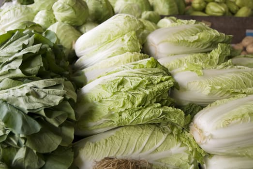 Various leafy vegetables used for salad