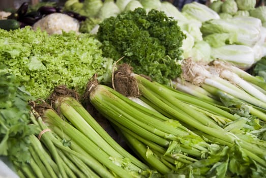 Various leafy vegetables used for salad
