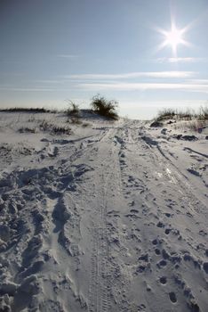 Snowy winter landscape with clear blue sky and sun.