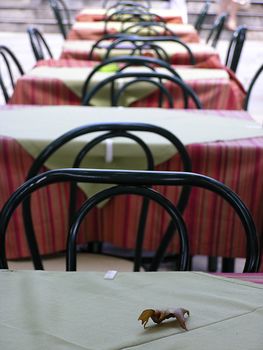 Empty restaurant tables in a row.