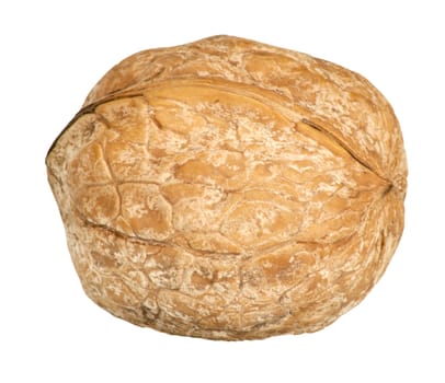 Walnut isolated on white background 