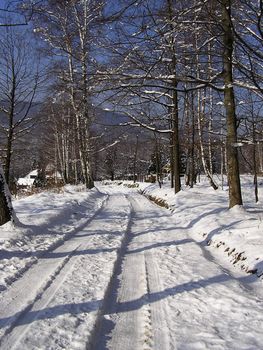 Forest road under snow in winter sunny morning with clear blue sky in background.