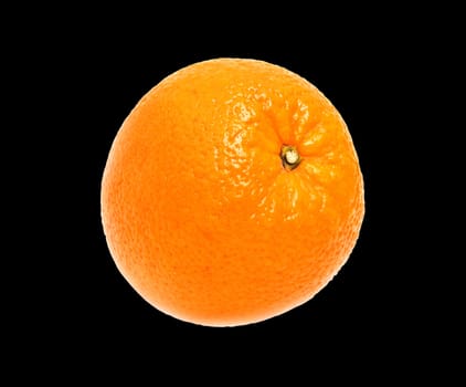 Mature orange on black background