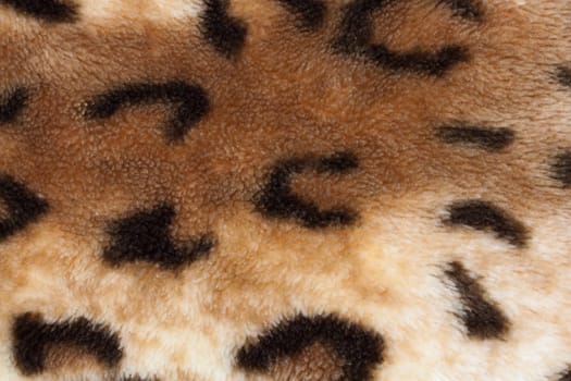 abstract texture of leopard skin 