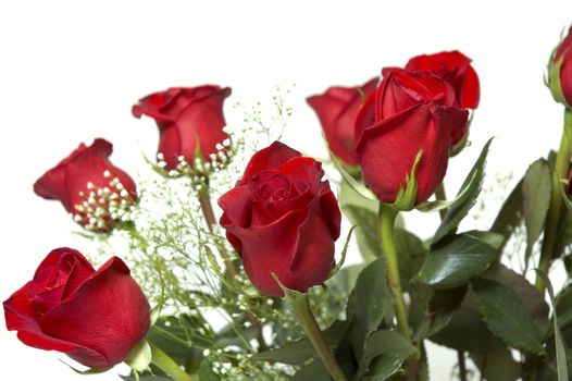 Red roses for any occasion, in a vase