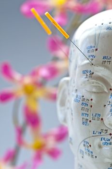 Acupuncture head model