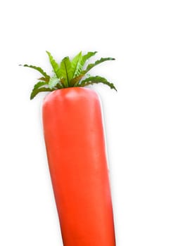 Big carrot isolated on white background