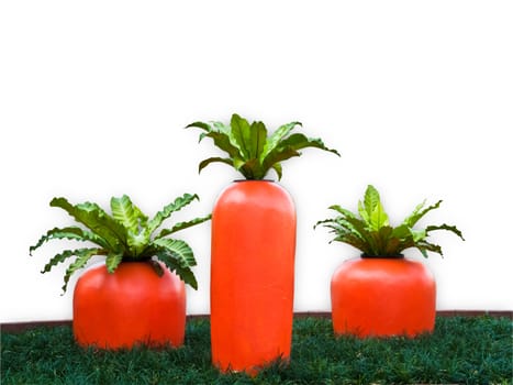 Big carrot isolated on white background