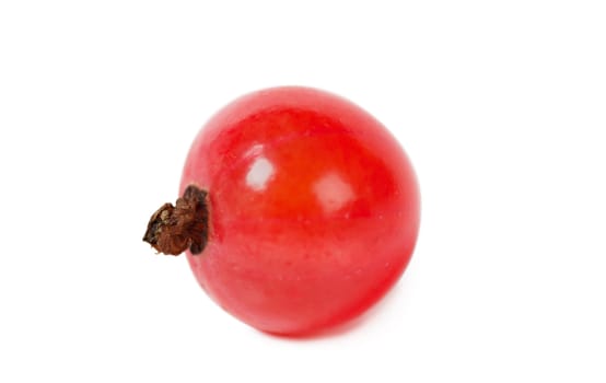 Close up view of a single red currant over white background