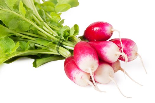 A bunch of fresh garden radishes over white background