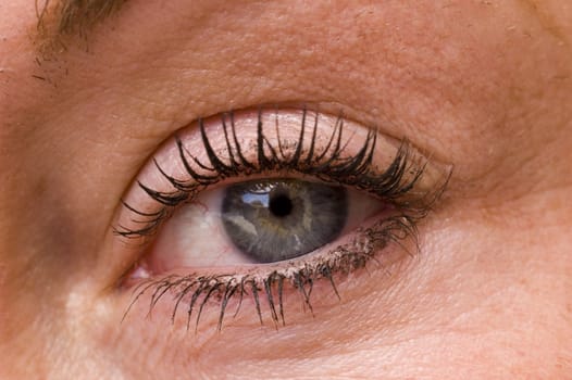 Closeup of a 33 year old womans eye with makeup