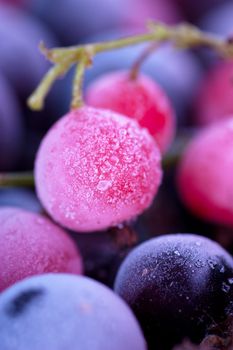 Macro view of frozen berries: blackcurrant, redcurrant, blueberry