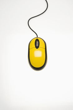 Studio shot of yellow computer mouse against white