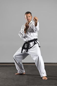 An image of a martial arts master