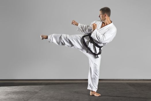 An image of a martial arts master