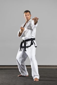 An image of a martial arts master